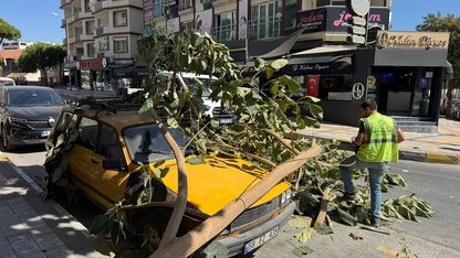 Aydın'da ağaç dalının otomobilin üzerine düşmesi güvenlik kamerasında