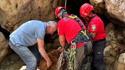 Fethiye’de dere yatağındaki sarp arazide mahsur kalan köpek ekiplerce kurtarıldı