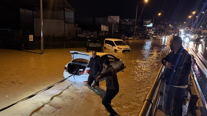 Aydın'da sel suları zeytin ağacını kökünden söktü