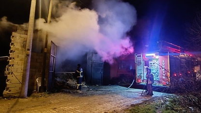 Banaz'da çıkan yangında 5 koyun telef oldu