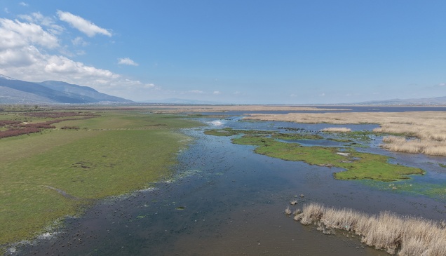 Kuraklık riski altındaki Eber Gölü'nün su seviyesi üç kat arttı