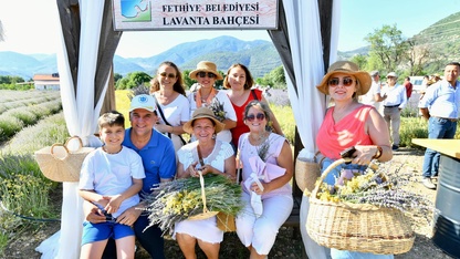 Fethiye'de lavanta bahçesinde hasat yapıldı