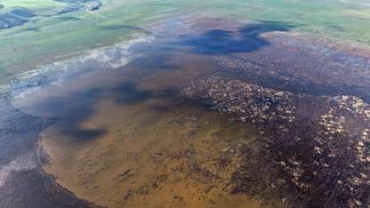 Manisa'da 5 yıl sonra yeniden su tutmaya başlayan Marmara Gölü çiftçiyi umutlandırdı