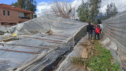 Fethiye'de rüzgardan zarar gören alanlarda hasar tespit çalışması başlatıldı
