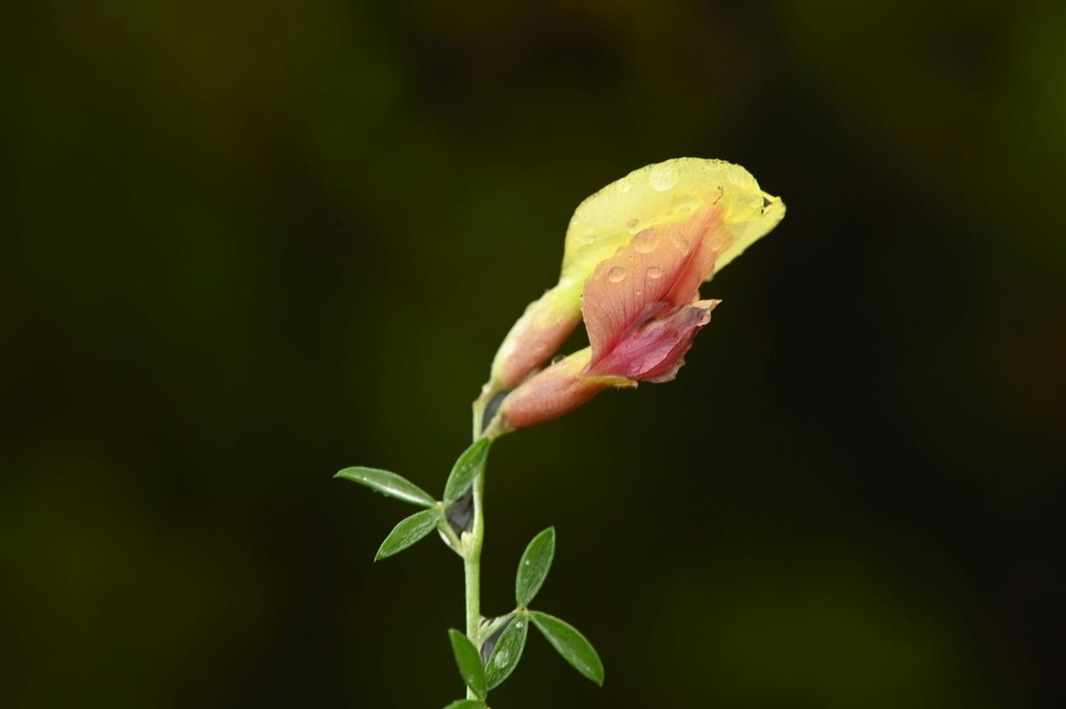 Blog Single