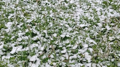 Hocalar Bulkaz Dağı Yaylasına kar yağdı