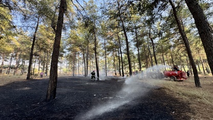 Fethiye'de ormanlık alanda çıkan yangın söndürüldü