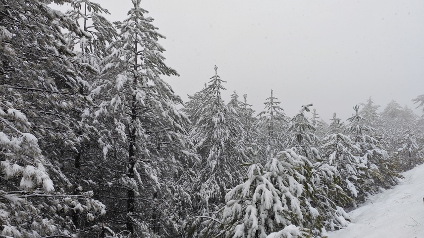 Manisa'nın Demirci ilçesinde kar etkili oldu