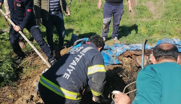 Denizli'de foseptik çukuruna düşen inek itfaiye ekiplerince kurtarıldı