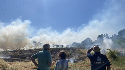 Bodrum'da tarım arazisi ve otluk alanda çıkan yangın söndürüldü