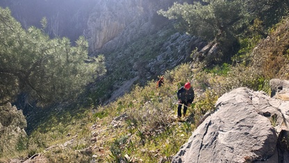 Muğla'da kayalıklarda mahsur kalan iki oğlağı AFAD ekibi kurtardı