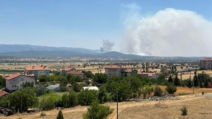 Uşak'ta meşelik alanda çıkan yangına müdahale ediliyor