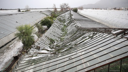 Muğla'da hortumun zarar verdiği seralarda hasar tespit çalışmaları başladı