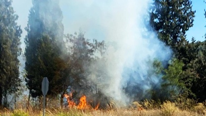 Muğla'da antik kent yakınlarında çıkan orman yangını söndürüldü