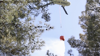 GÜNCELLEME - Fethiye'de çıkan orman yangını kontrol altına alındı