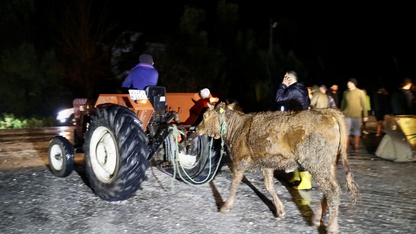 Muğla'nın Seydikemer ilçesindeki su baskını nedeniyle bazı evler tahliye edildi