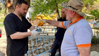 Sırbistan'da halkalanan yaralı gökkuzgunu Denizli'de koruma altına alındı