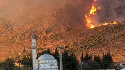 Muğla'da makilik alanda çıkan yangın kontrol altına alındı