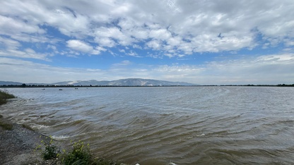 Aydın'da Büyük Menderes Nehri'nin taşması sonucu tarım arazileri sular altında kaldı