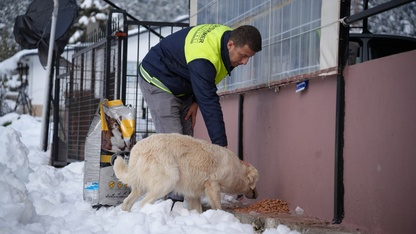 Seydikemer'de sahipsiz hayvanlar için kar yağan mahallelere mama bırakılıyor