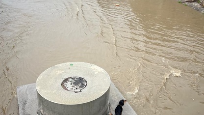 Karabağlar'da dere yatağında mahsur kalan köpek itfaiye ekibince kurtarıldı