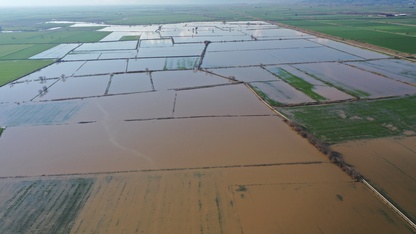 Büyük Menderes Nehri'nin bazı bölümlerinde taşkınlar yaşandı