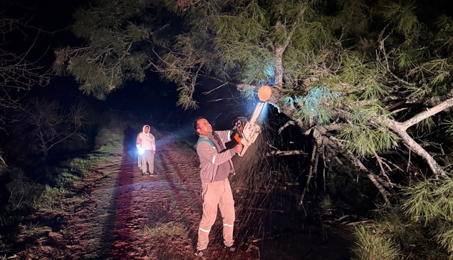 GÜNCELLEME - Muğla'da kuvvetli fırtına etkili oluyor