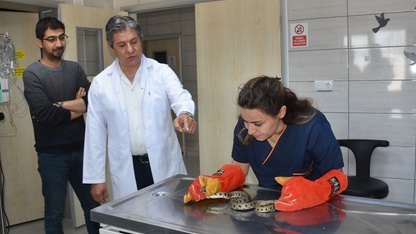 Afyonkarahisar'da tedavisi tamamlanan yılan doğaya salındı