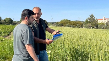 Datça'da tarım arazilerinde üretim planlaması kontrolleri yapıldı