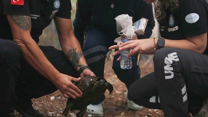 Köyceğiz'de orman yangınından etkilenen  kaplumbağayı UMKE ekibi kurtardı 