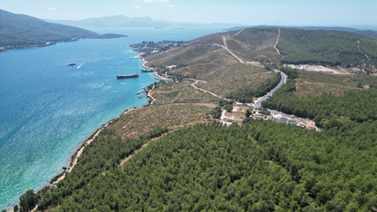 Bodrum Güvercinlik'te 4 yıl önce yanan alanlar dikilen fidanlarla yeşeriyor