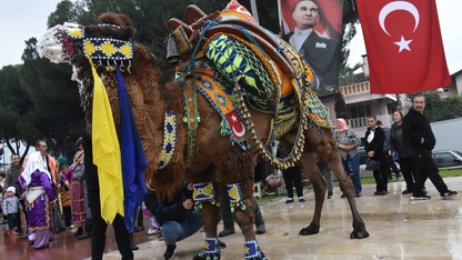 Aydın'da "En Yakışıklı Deve Yarışması" düzenlendi