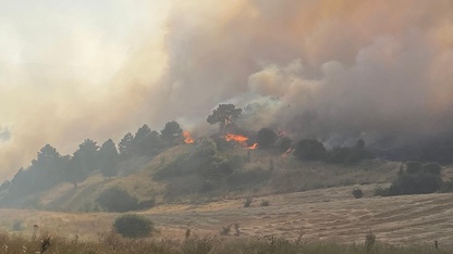 Kütahya'da ormanlık alanda çıkan yangına müdahale ediliyor