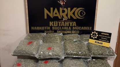 Kütahya'da 15 kilo 840 gram esrar ele geçirilen kamyonun sürücüsü tutuklandı