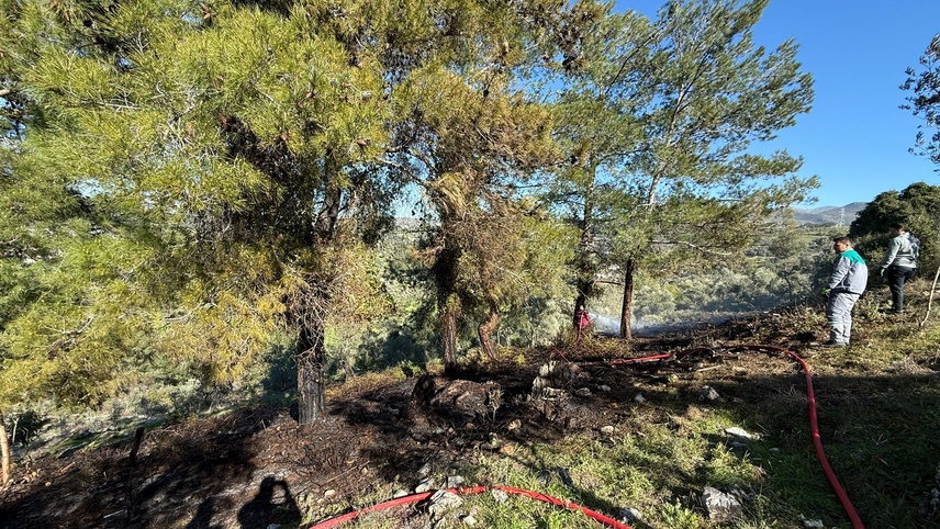 Bodrum'da ağaçlık alan yakınında çıkan yangın söndürüldü