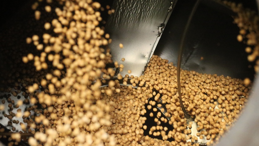 Beş kuşaktır kavurdukları Tavşanlı leblebisini Orta Doğu ve Avrupa'ya gönderiyorlar