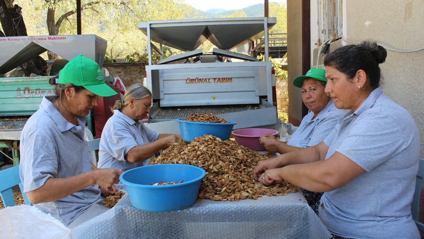 Datça'nın organik ürünleri bal badem ve zeytinyağı ülke genelinde satılıyor