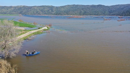 Aydın'da taşkın sonucu su altında kalan tarım arazilerinde balık avlanıyor