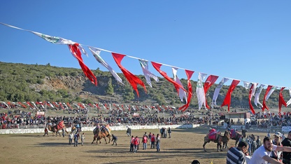 Muğla'da 24. Yatağan Deve Güreşi Festivali düzenlendi