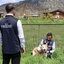 Kütahya'da 1,5 yılda yaklaşık 18 bin 600 sahipsiz köpek koruma altına alındı