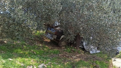 Aydın'da ağaca çarpan pikabın sürücüsü öldü