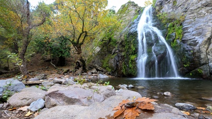 Yunt Dağları'ndaki ağaçlar hazan rengine büründü
