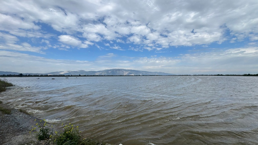 Aydın'da Büyük Menderes Nehri'nin taşması sonucu tarım arazileri sular altında kaldı