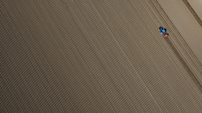 Patates deposu Ödemiş'te hasat ve ekim bir arada