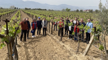 Alaşehir'de kontrollü ve kalıntısız bağcılık projesi başlatıldı