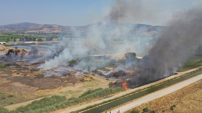 Aydın'da otluk alanda çıkan yangın söndürüldü