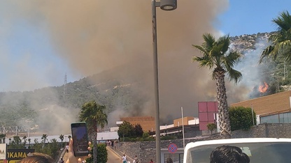 Bodrum'da çıkan orman yangınına müdahale ediliyor