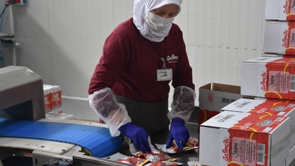 Devlet desteğiyle üretim kapasitesini artıran şirket, leblebi kremasını yurt dışına gönderiyor