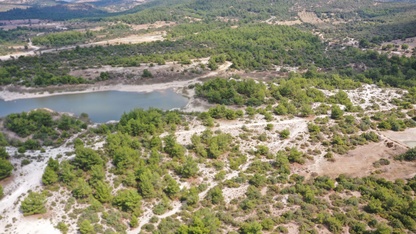 Manisa'daki "Osmancalı Fosil Ormanı" tabiat anıtı ilan edildi