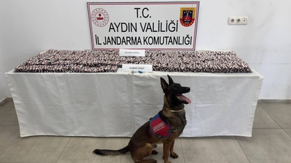 Aydın'da uyuşturucuyla yakalanan 3 şüpheli tutuklandı
